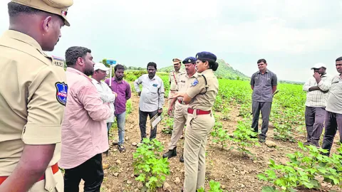 బాధ్య