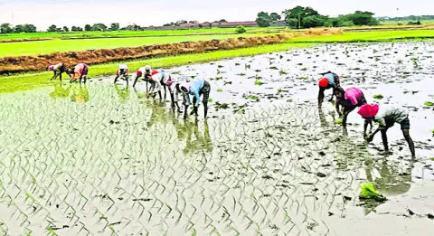 సూర్యప్రతాపం