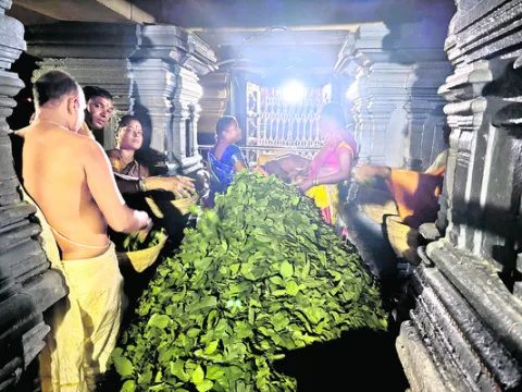 కాళేశ్వరాలయంలో శ్రావణ శోభ
