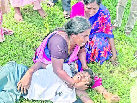విద్య