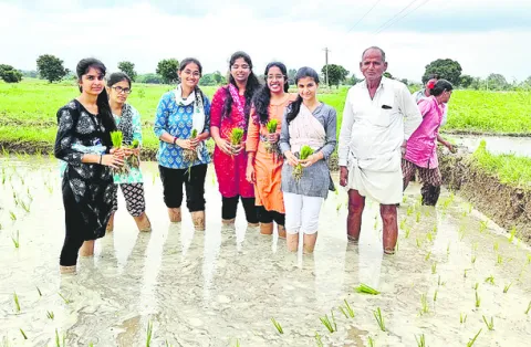 క్షేత
