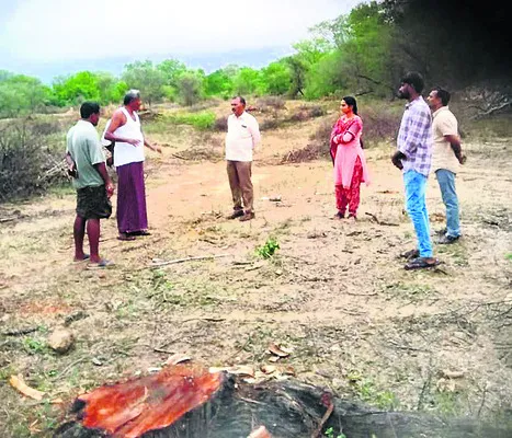 నల్ల 