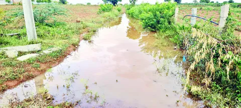 18 మం