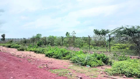 నిర్మ