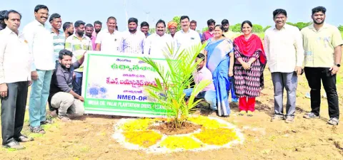 ఆయిల్‌పామ్‌ రైతుల భవిష్యత్తుకు భరోసా