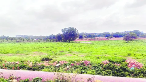 గుడిమ