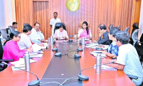 డెయిర
