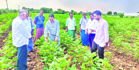నానో యూరియాతో  తగ్గనున్న ఖర్చు