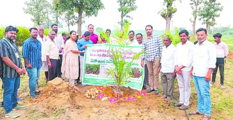 లక్ష్యం.. 2500 ఎకరాలు 