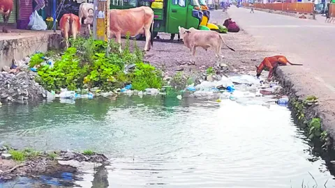 తాగునీరు కలుషితం 