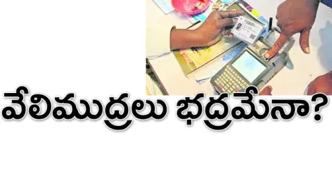  రిజి
