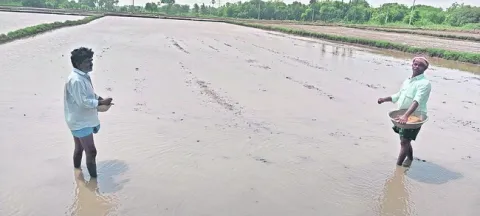 ఊరంతా