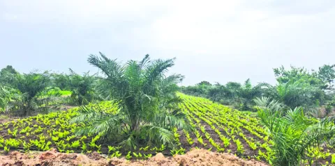 అంతర 