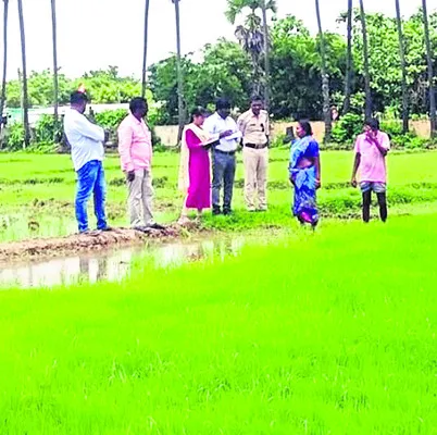 నారుమ