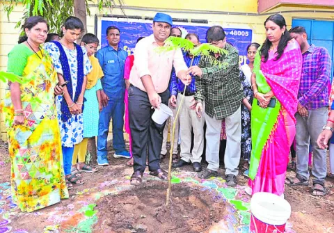 మొక్కలు నాటి సంరక్షించాలి 