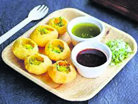 థర్మాకోల్‌ ప్లేట్లలో ఆహారం తింటే ప్రమాదం 