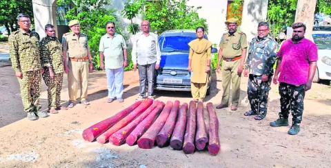 ఎర్రచందనం దుంగలు స్వాధీనం