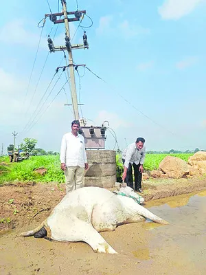 రాష్ట