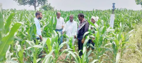 క్షేత