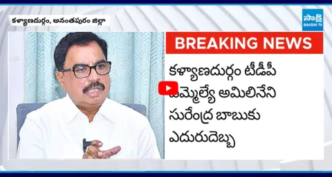 Big Shock To Kalyandurg MLA Amilineni Surendra Babu In E-Stamp Fraud Case  4