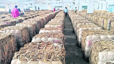  2024 – 25 ఏడాదికి బోర్డు అనుమతి 