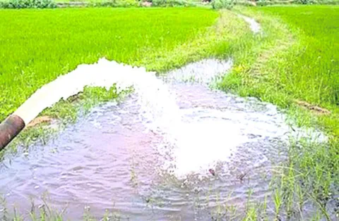 పెరిగ