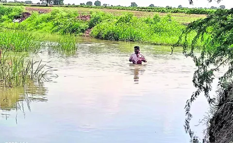 సాగు చేయాలంటే వాగు దాటాల్సిందే! 
