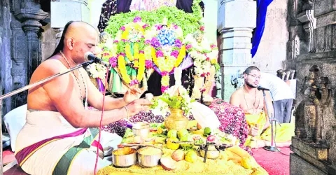 ఆర్‌ఐ, పాలడుగు   కార్యదర్శి సస్పెన్షన్‌