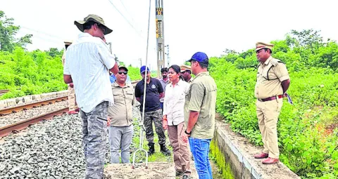 వన్యప్రాణుల రాకపోకలకు వీలుగా అండర్‌పాస్‌లు