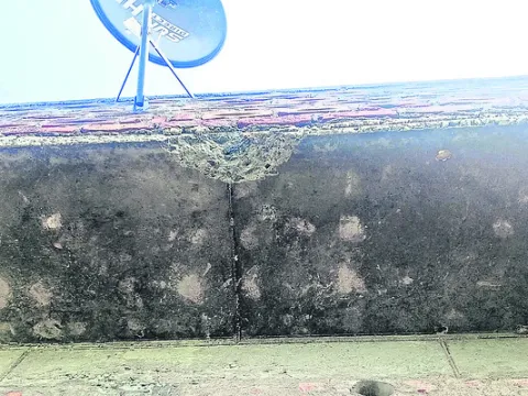 పేకాట