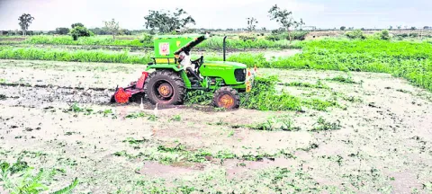 సేంద్