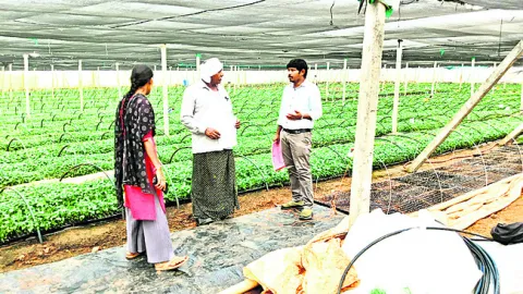 నేడు కాళేశ్వరాలయంలో  వరలక్ష్మీవ్రతాలు
