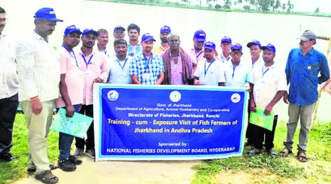 ఆంధ్రా చేపల సాగు అదుర్స్‌ 