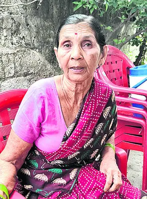 దోమలత