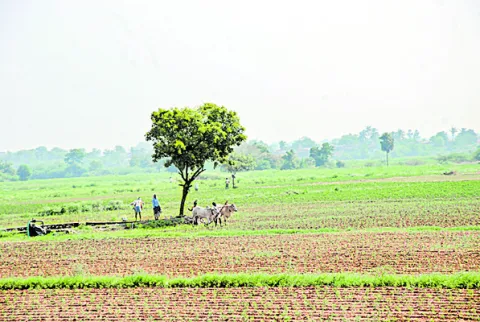 కూటమి ప్రభుత్వ దగాతో సాగుకు అన్నదాతల వెనుకడుగు