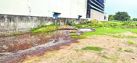 రైస్‌మిల్‌ నుంచి రసాయన వ్యర్థాలు 