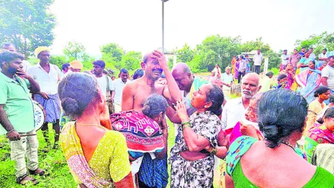 అనారో