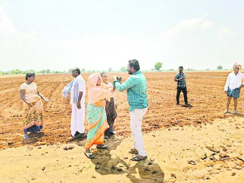 సాగుల