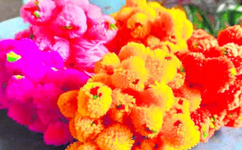 దూది గొండలే ప్రత్యేకం