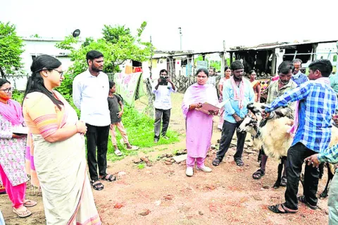 పశువులకు వ్యాధులు  సోకకుండా చూడాలి