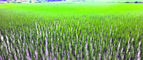 కలిసి