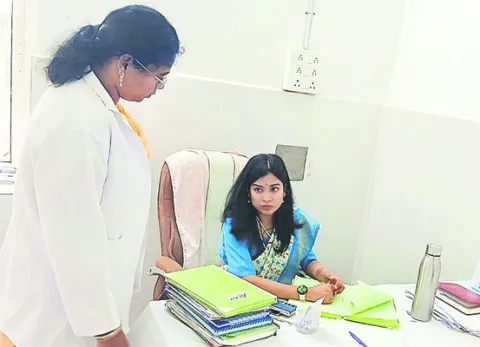 సీజనల్‌ వ్యాధులపై అప్రమత్తంగా ఉండాలి 