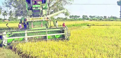 దళారు