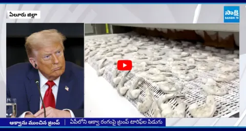 AP Aqua Farmers Fires On Donald Trump 2