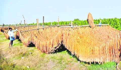 హామీల