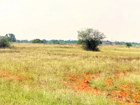 ఖరీఫ్