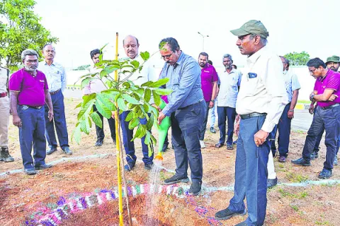 మొక్కల సంరక్షణ అందరి బాధ్యత