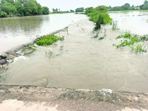 అంతటా మోస్తరు వర్షం