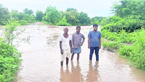 కుంటా
