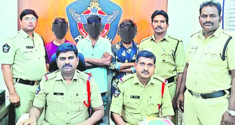 మారేడుబాకలో గంజాయి కలకలం 